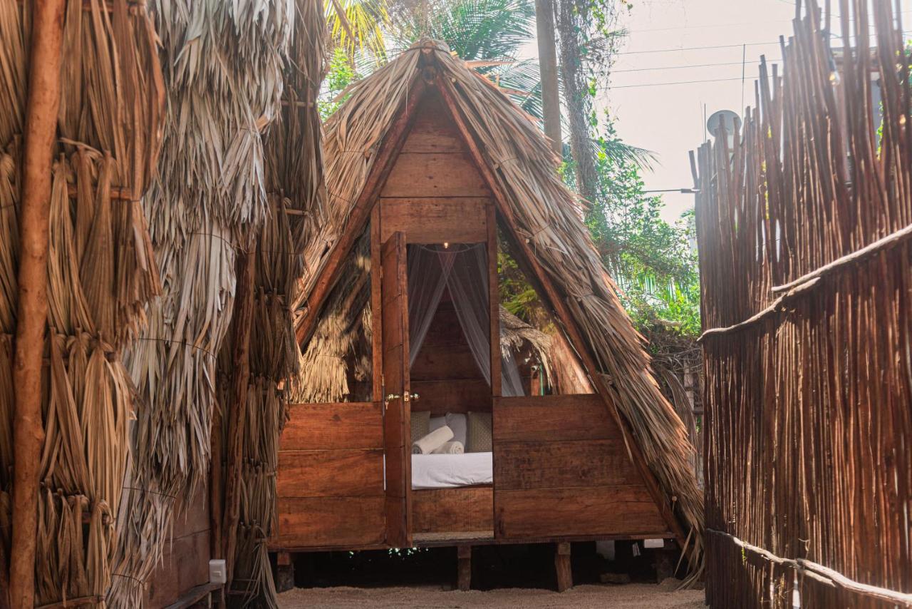 Mapache Hostel & Camping ホルボックス島 エクステリア 写真