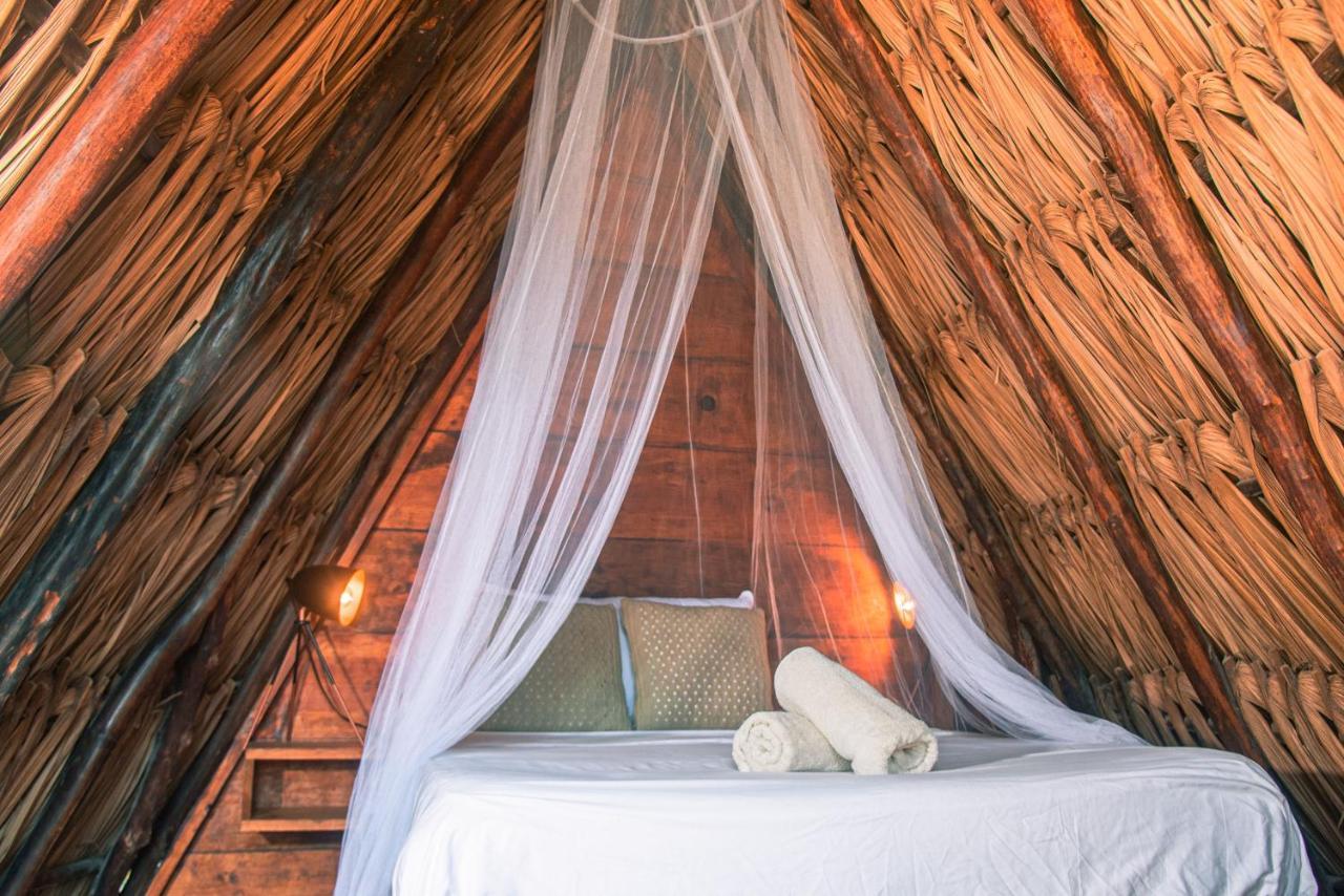 Mapache Hostel & Camping ホルボックス島 エクステリア 写真