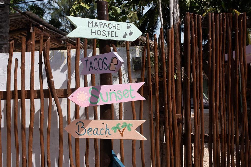 Mapache Hostel & Camping ホルボックス島 エクステリア 写真