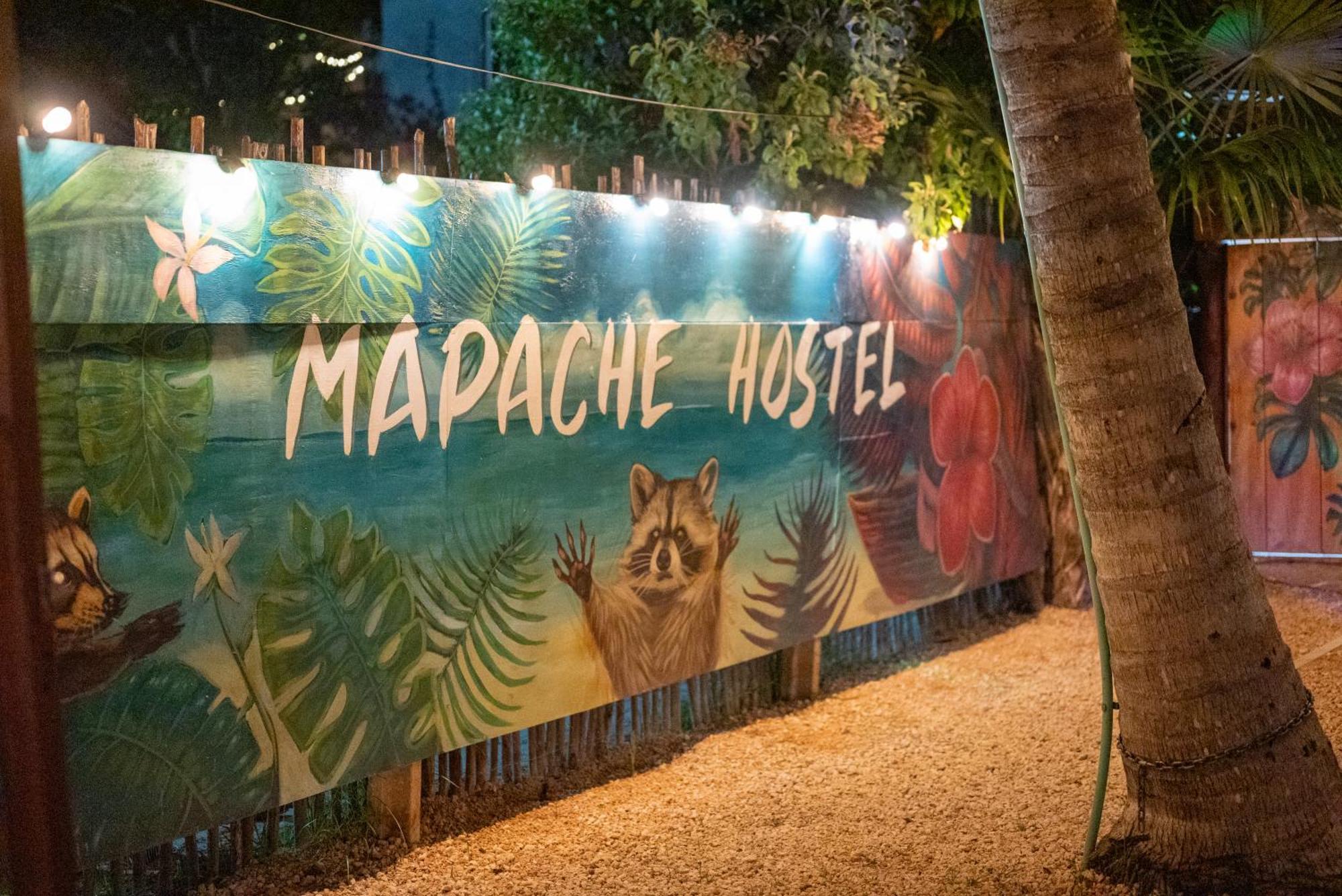 Mapache Hostel & Camping ホルボックス島 エクステリア 写真