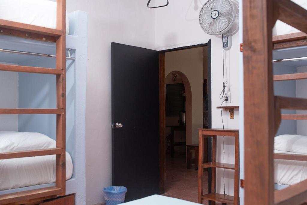 Mapache Hostel & Camping ホルボックス島 エクステリア 写真