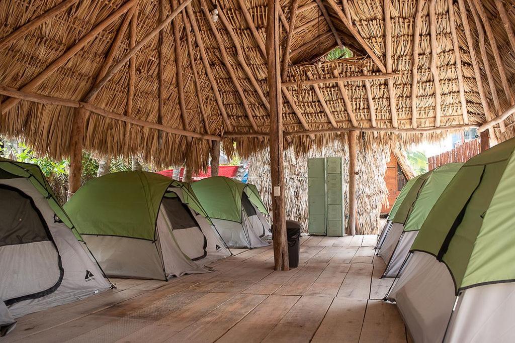 Mapache Hostel & Camping ホルボックス島 エクステリア 写真
