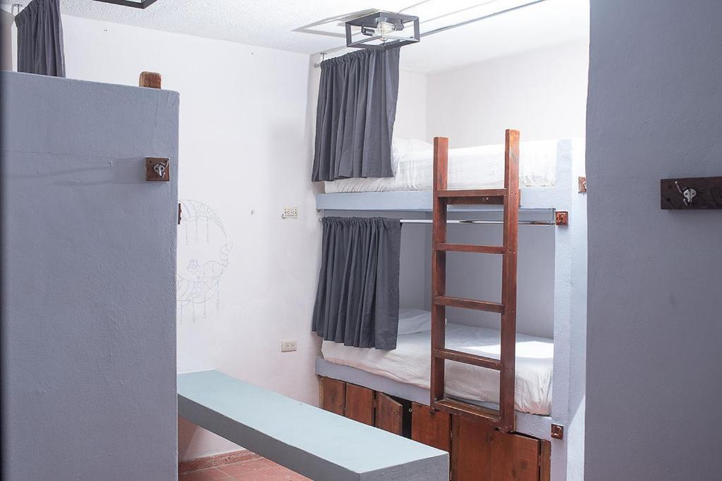 Mapache Hostel & Camping ホルボックス島 エクステリア 写真