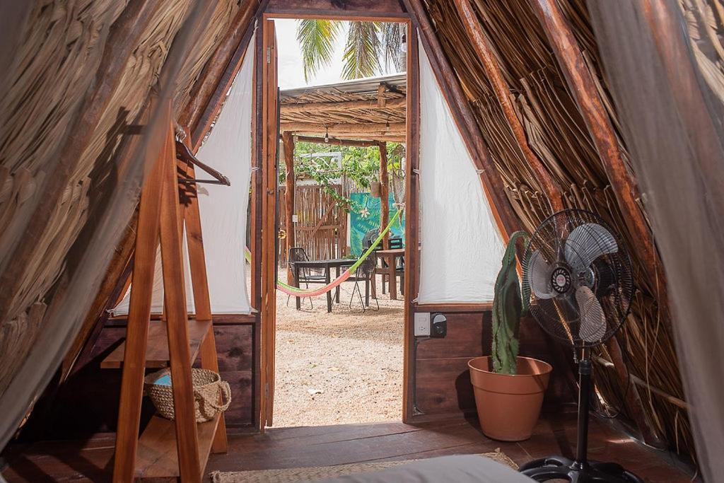 Mapache Hostel & Camping ホルボックス島 エクステリア 写真