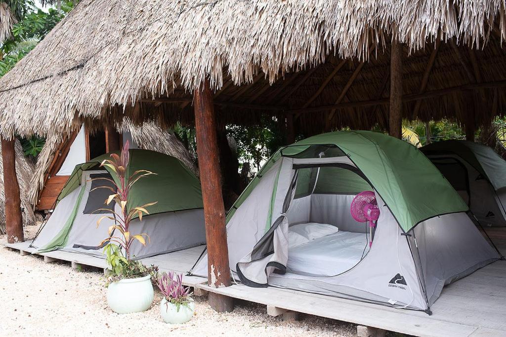 Mapache Hostel & Camping ホルボックス島 エクステリア 写真