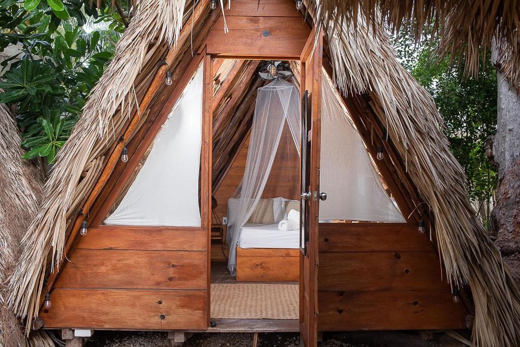 Mapache Hostel & Camping ホルボックス島 エクステリア 写真