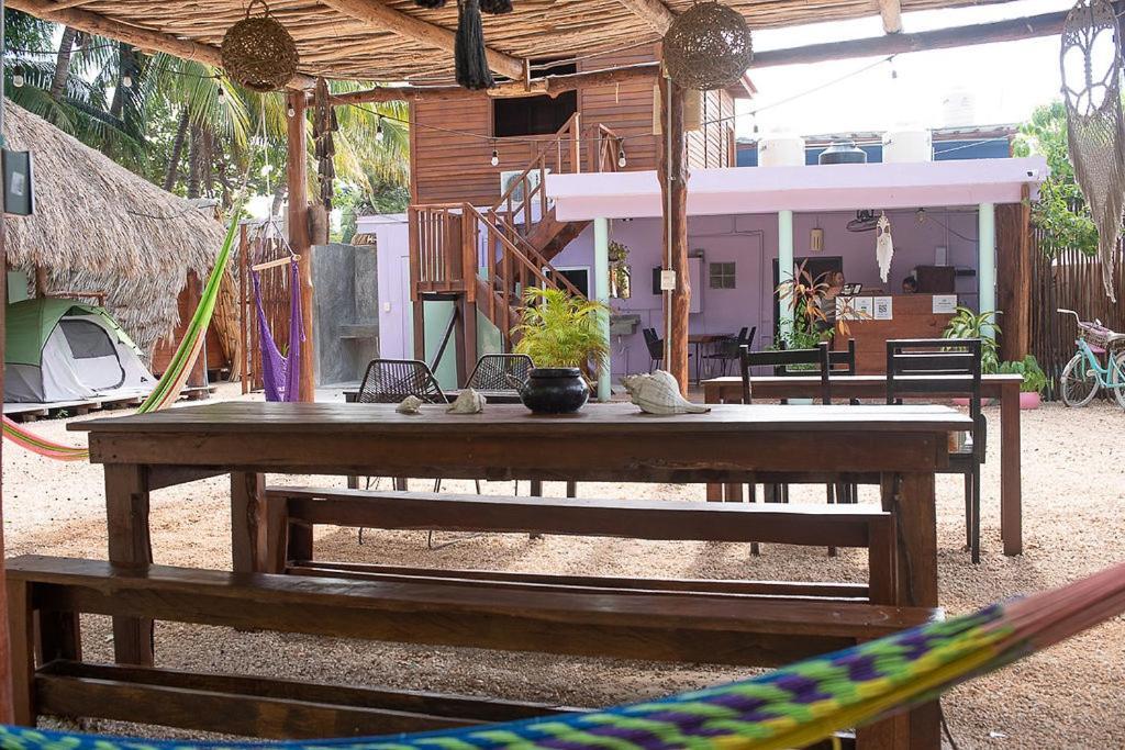 Mapache Hostel & Camping ホルボックス島 エクステリア 写真
