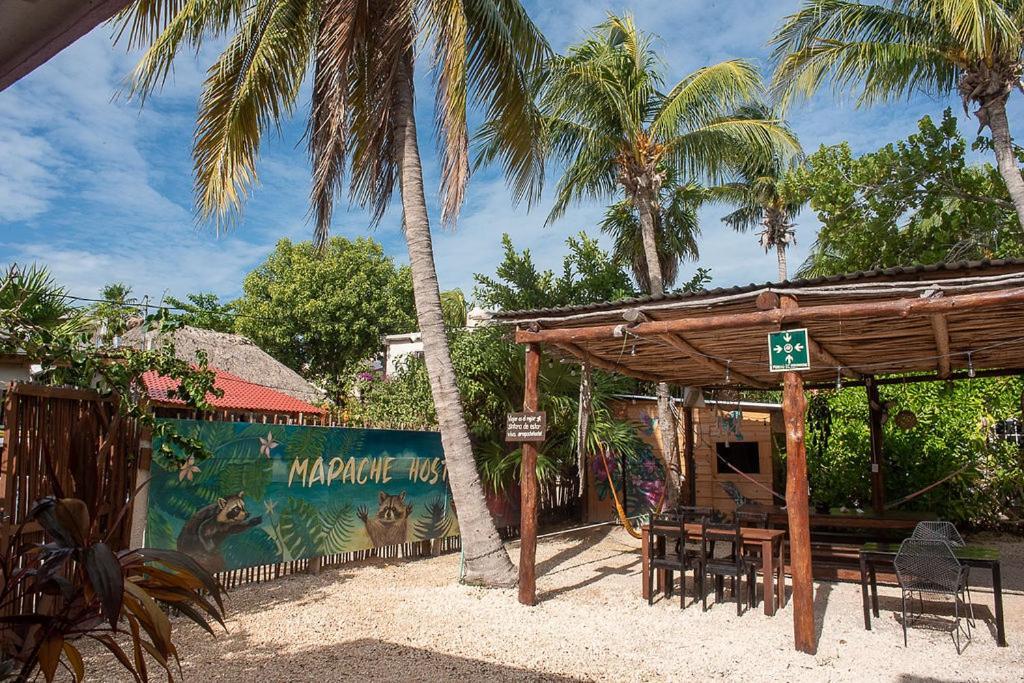 Mapache Hostel & Camping ホルボックス島 エクステリア 写真