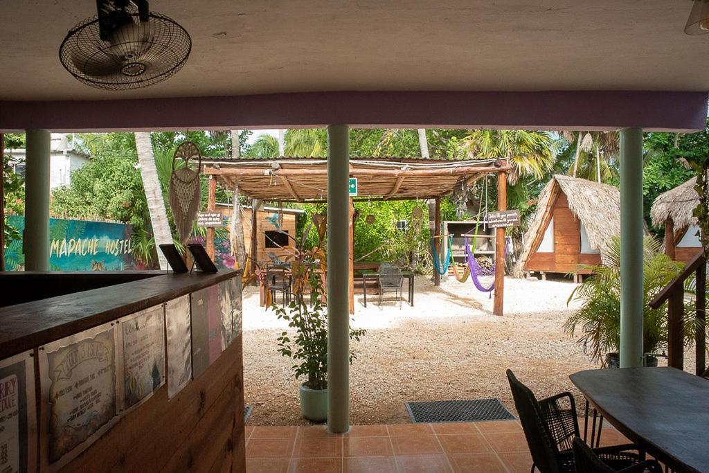 Mapache Hostel & Camping ホルボックス島 エクステリア 写真